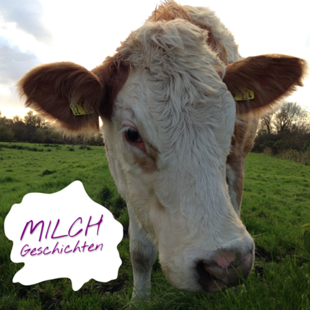Milchgeschichten Podcast