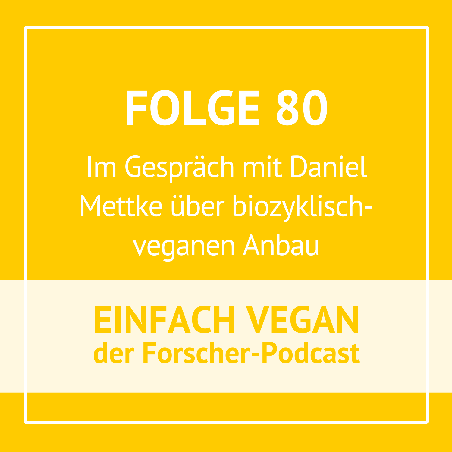 Folge 80 - Im Gespräch mit Daniel Mettke